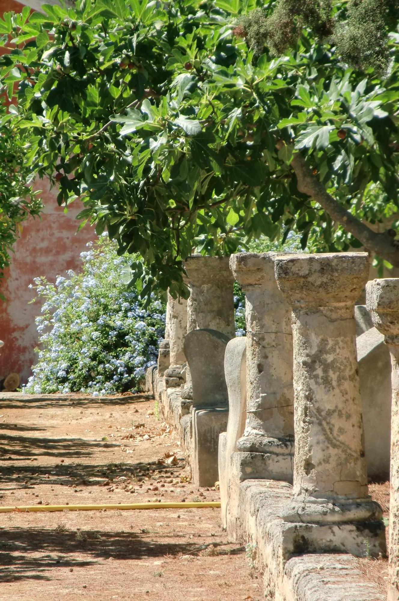 Palazzo Leuzzi B&B Galatone Dış mekan fotoğraf