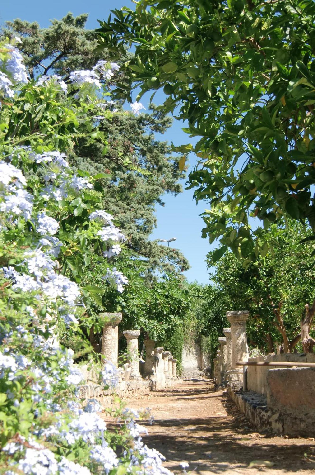 Palazzo Leuzzi B&B Galatone Dış mekan fotoğraf